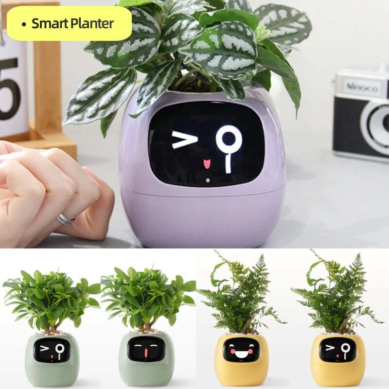 Smart Planter with AI Sensors